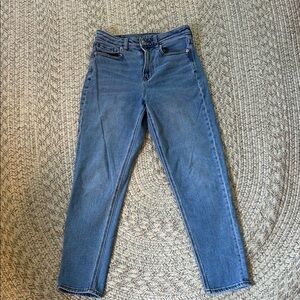 American Eagle Outfitters Blue Straight Leg Jeans